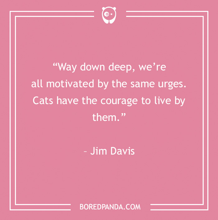 105 Cat Quotes Every Feline Fan Will Like 105 Cat Quotes Every Feline Fan Will Like