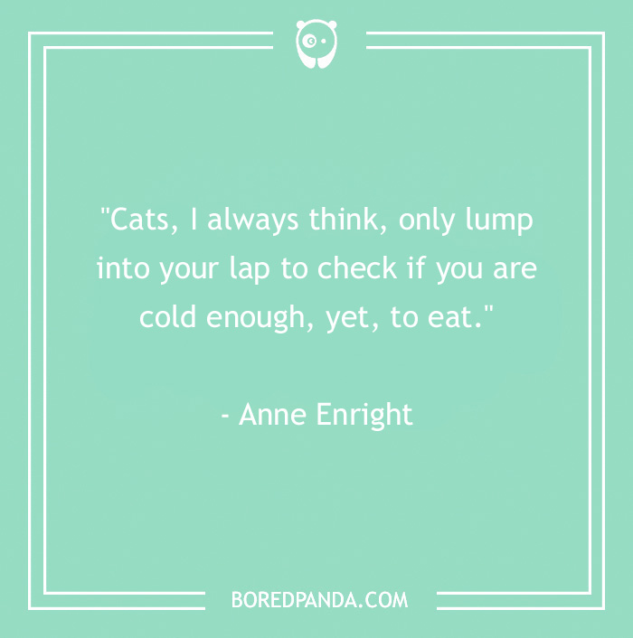 105 Cat Quotes Every Feline Fan Will Like 105 Cat Quotes Every Feline Fan Will Like