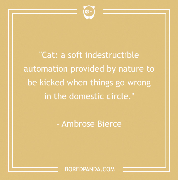 105 Cat Quotes Every Feline Fan Will Like 105 Cat Quotes Every Feline Fan Will Like