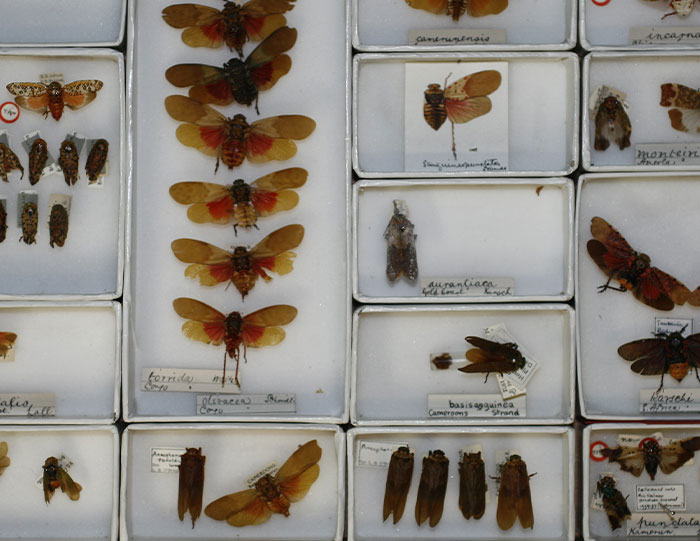 30 Adults Share The Worst Things Their Teachers Did That They Still Can&rsquo;t Get Over