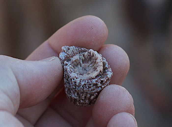 30 Adults Share The Worst Things Their Teachers Did That They Still Can&rsquo;t Get Over