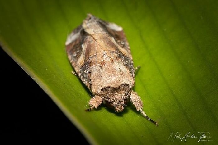 “An Amazing World Right Under Your Nose”: 24 Pictures Of Nature That I Took With A Macro Lens “An Amazing World Right Under Your Nose”: 24 Pictures Of Nature That I Took With A Macro Lens