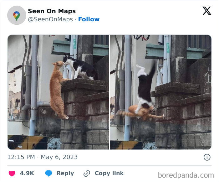 40 Of The Silliest Things That Were Ever Captured On The Streets 40 Of The Silliest Things That Were Ever Captured On The Streets