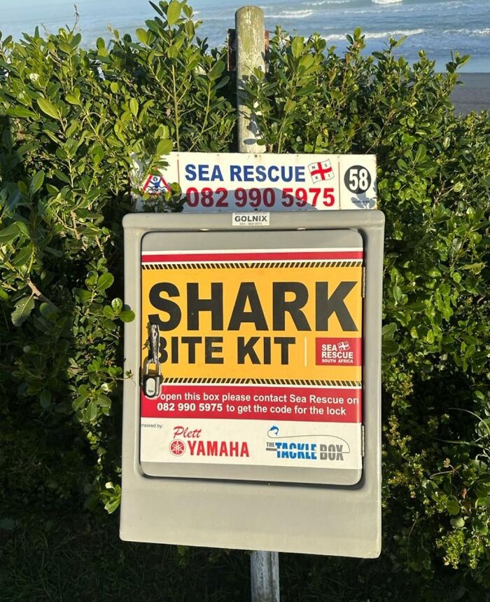 Hey Pandas, What’s The Most Wholesome Or Funny Thing You’ve Seen In Public? (Closed) Hey Pandas, What’s The Most Wholesome Or Funny Thing You’ve Seen In Public? (Closed)