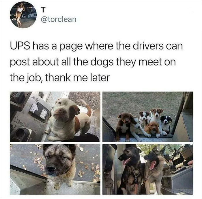 50 “Blessed Images” That Might Be Exactly What You Needed Today (New Pics) 50 “Blessed Images” That Might Be Exactly What You Needed Today (New Pics)