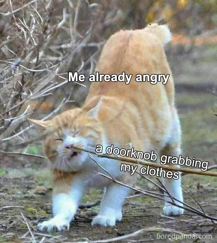 50 Hilarious Memes Most People Will Relate To 50 Hilarious Memes Most People Will Relate To