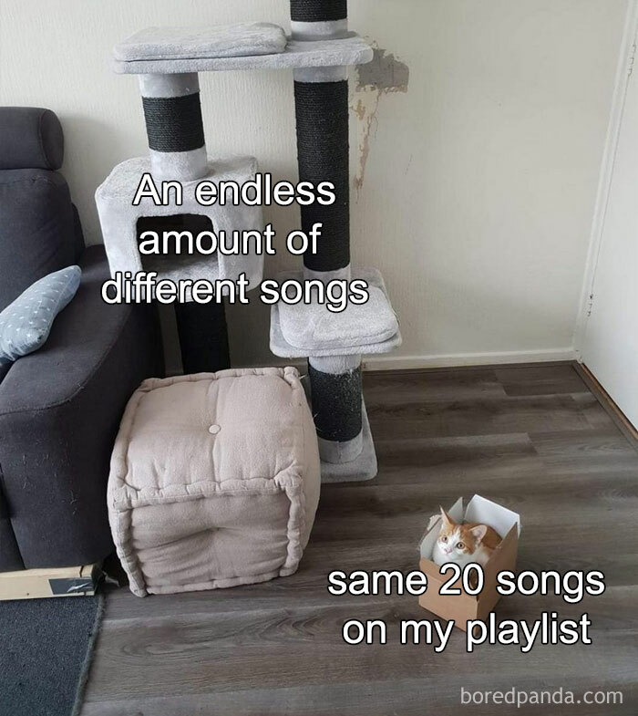 50 Hilarious Memes Most People Will Relate To 50 Hilarious Memes Most People Will Relate To