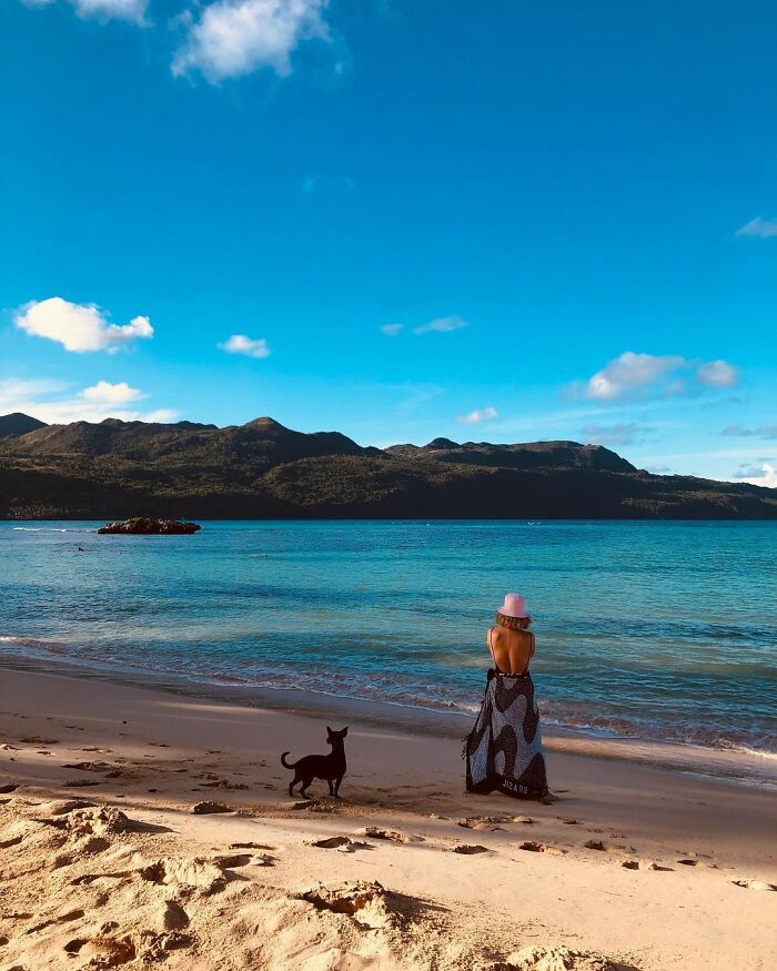 Woman Shares Anguish Over Delta Airlines Losing Her Beloved Pooch In Atlanta Airport Woman Shares Anguish Over Delta Airlines Losing Her Beloved Pooch In Atlanta Airport