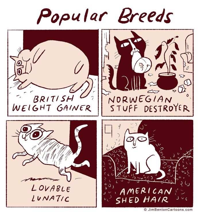 50 Comics That Feature Ironic Twists And Peculiar Humor By This Artist (New Pics) 50 Comics That Feature Ironic Twists And Peculiar Humor By This Artist (New Pics)