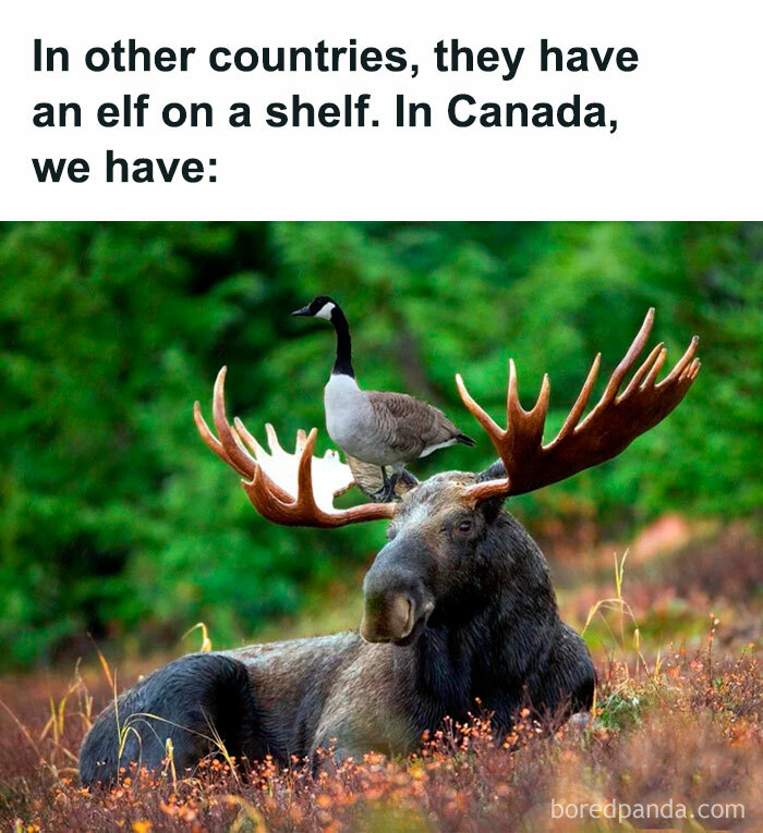 “Only In Canada”: 30 Memes And Posts That Perfectly Describe The Country “Only In Canada”: 30 Memes And Posts That Perfectly Describe The Country