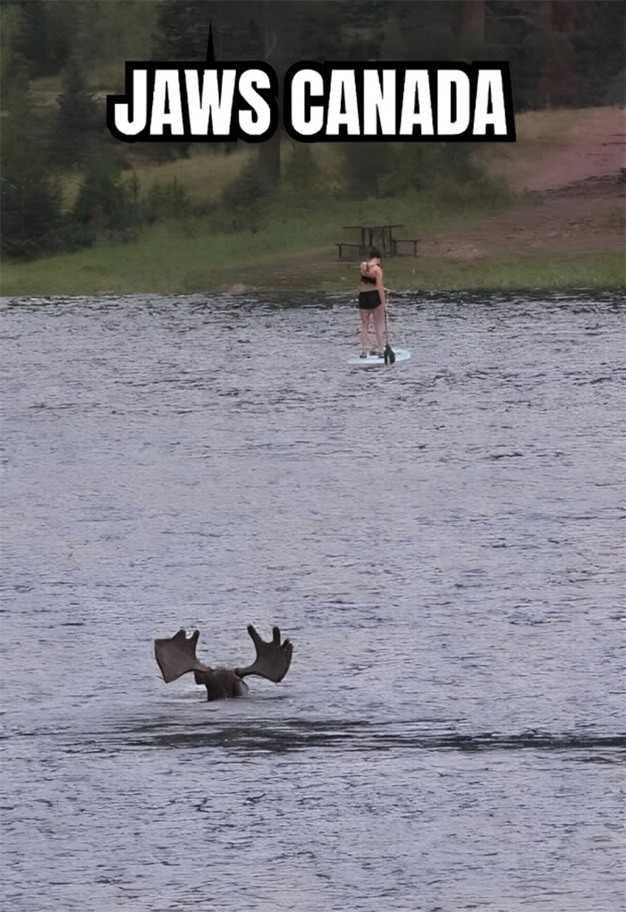 “Only In Canada”: 30 Memes And Posts That Perfectly Describe The Country “Only In Canada”: 30 Memes And Posts That Perfectly Describe The Country