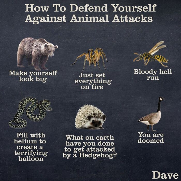 “Only In Canada”: 30 Memes And Posts That Perfectly Describe The Country “Only In Canada”: 30 Memes And Posts That Perfectly Describe The Country