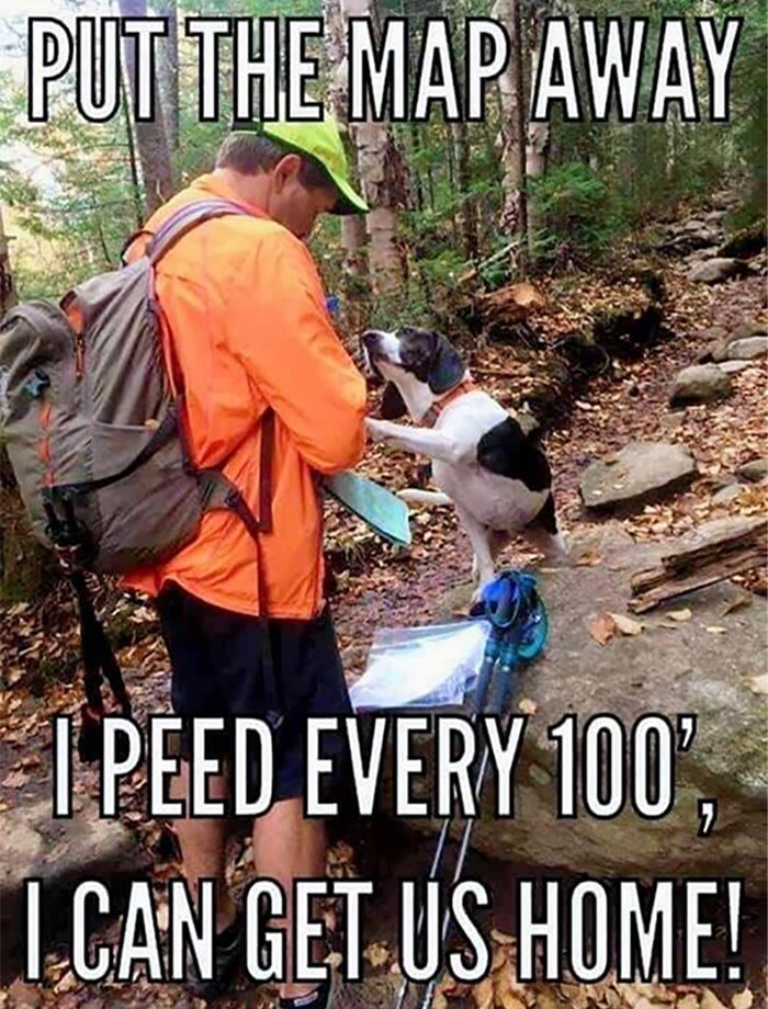 “Only In Canada”: 30 Memes And Posts That Perfectly Describe The Country “Only In Canada”: 30 Memes And Posts That Perfectly Describe The Country