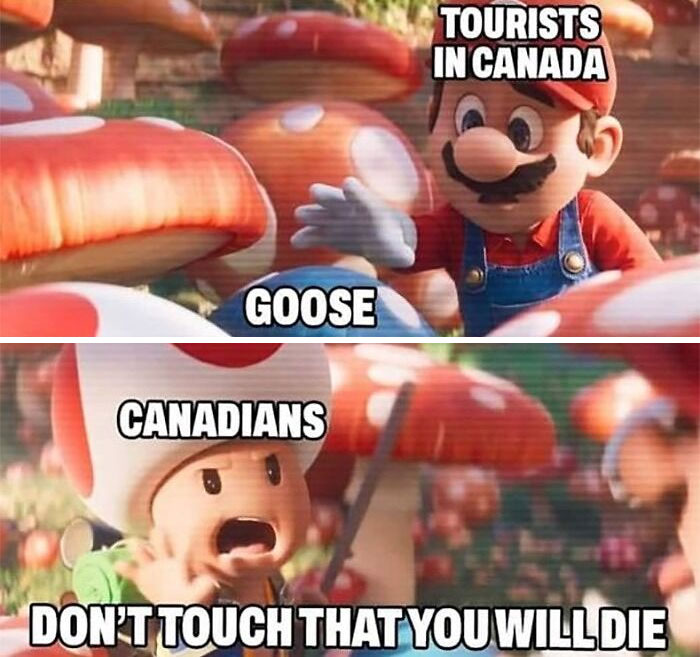 “Only In Canada”: 30 Memes And Posts That Perfectly Describe The Country “Only In Canada”: 30 Memes And Posts That Perfectly Describe The Country