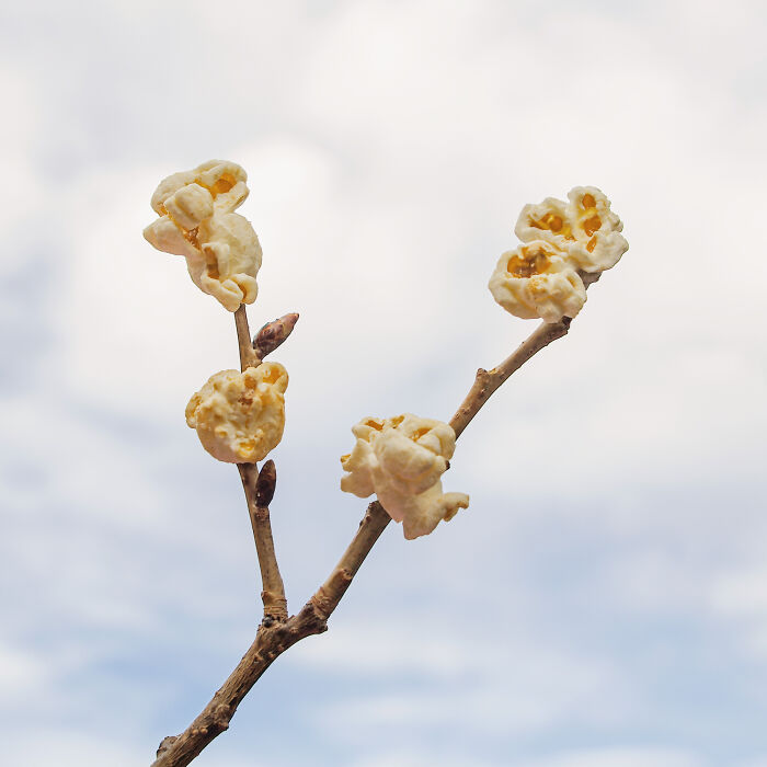 Magic Everywhere: I Turn Everyday Objects Into Something New (35 Pics)