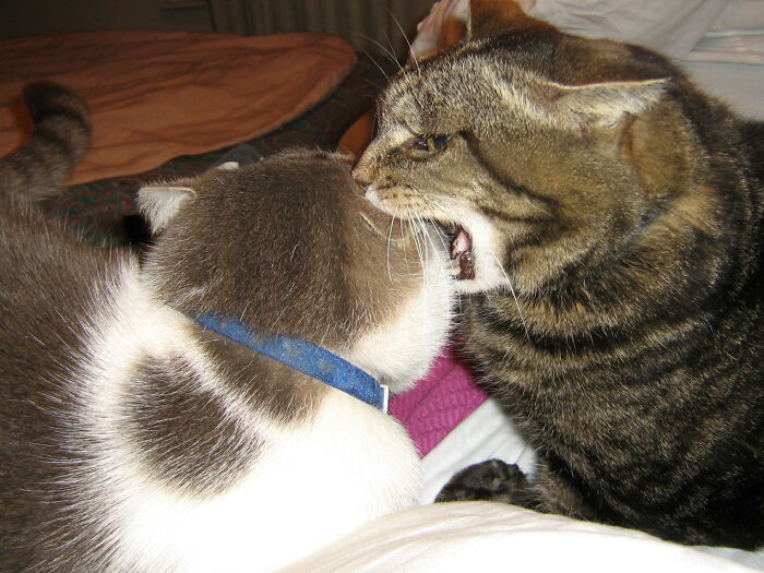 This Viral Thread Has People Pointing Out Things People Should Avoid Like The Plague (43 Answers) This Viral Thread Has People Pointing Out Things People Should Avoid Like The Plague (43 Answers)