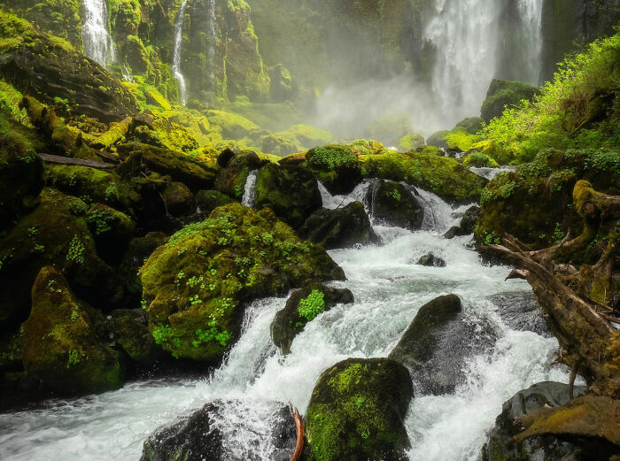 This Viral Thread Has People Pointing Out Things People Should Avoid Like The Plague (43 Answers) This Viral Thread Has People Pointing Out Things People Should Avoid Like The Plague (43 Answers)