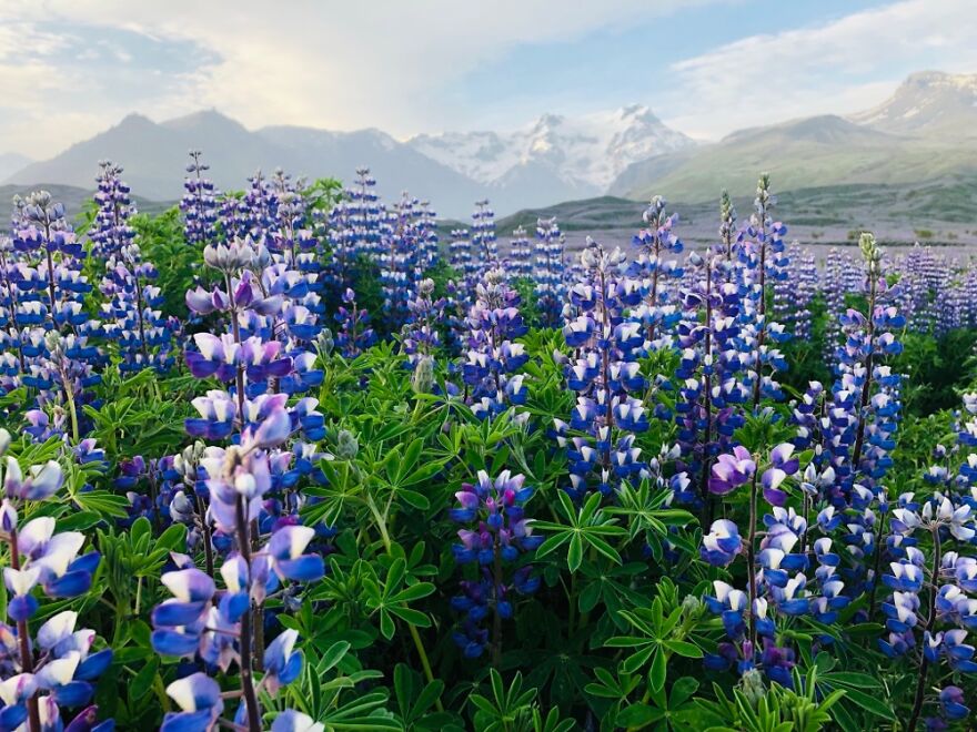 Hey Pandas, Share A Picture Of A Place You’ve Traveled To That Left You Speechless (Closed) Hey Pandas, Share A Picture Of A Place You’ve Traveled To That Left You Speechless (Closed)