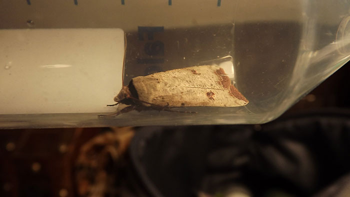 Woman Finds All Her Clothes Ruined, Regrets Not Listening To “Germaphobe” Roommate Woman Finds All Her Clothes Ruined, Regrets Not Listening To “Germaphobe” Roommate