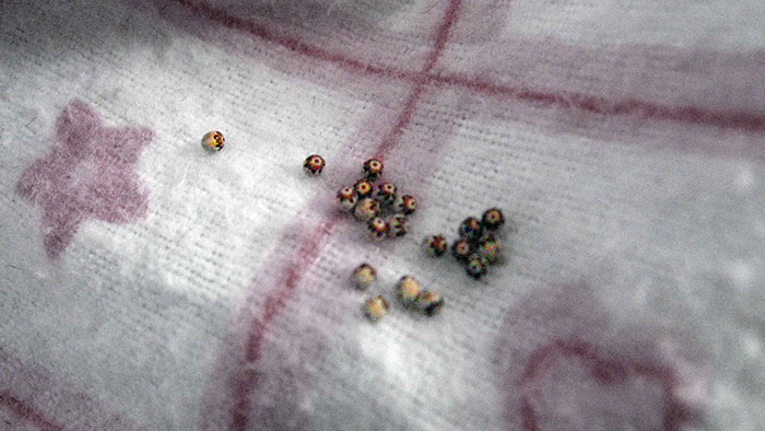 Woman Finds All Her Clothes Ruined, Regrets Not Listening To “Germaphobe” Roommate Woman Finds All Her Clothes Ruined, Regrets Not Listening To “Germaphobe” Roommate