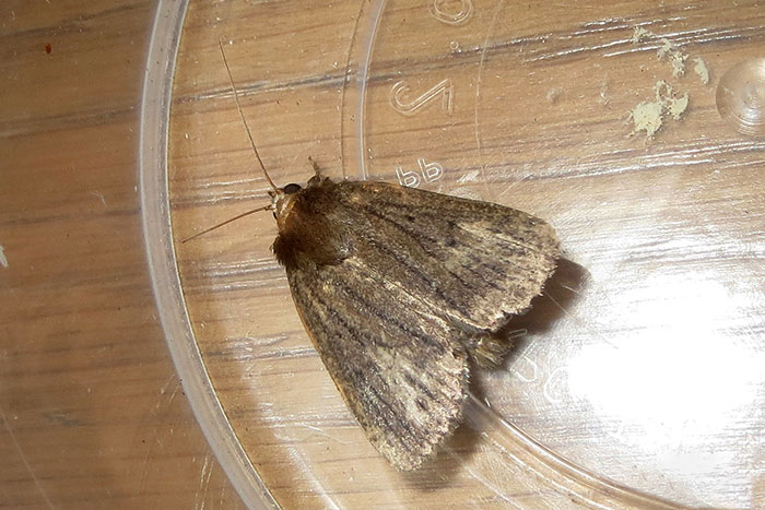 Woman Finds All Her Clothes Ruined, Regrets Not Listening To “Germaphobe” Roommate Woman Finds All Her Clothes Ruined, Regrets Not Listening To “Germaphobe” Roommate