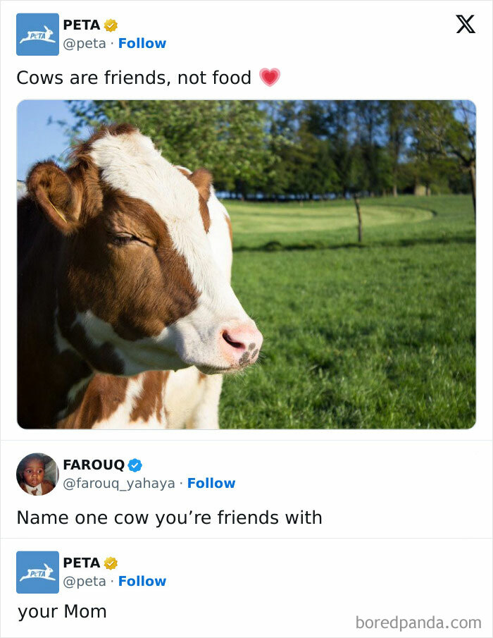 50 Of The Most Clever Comebacks Ever Screenshotted (New Pics)