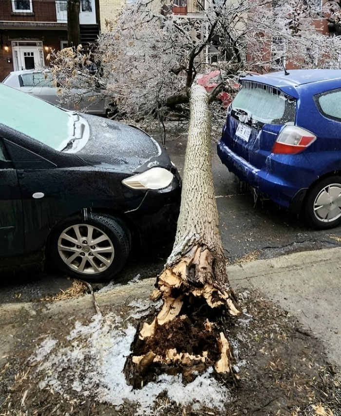 50 Incredibly Lucky People Who Are Probably Having A Better Day Than You 50 Incredibly Lucky People Who Are Probably Having A Better Day Than You