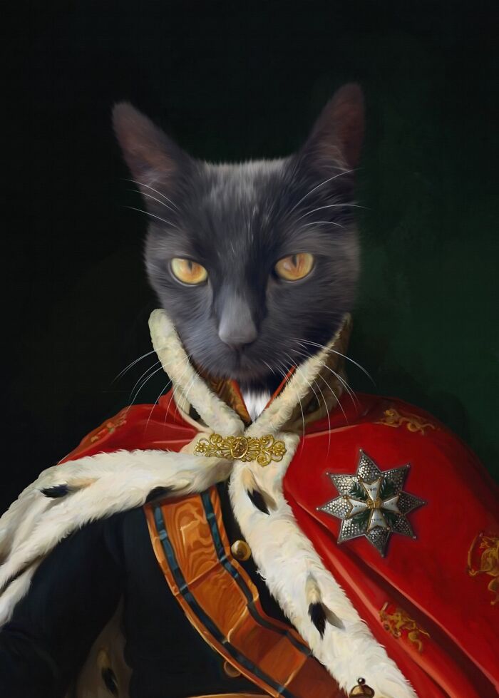 Hey Pandas, To Celebrate Black Cat Appreciation Day, Share Some Photos Of Your Feline Friends (Closed)