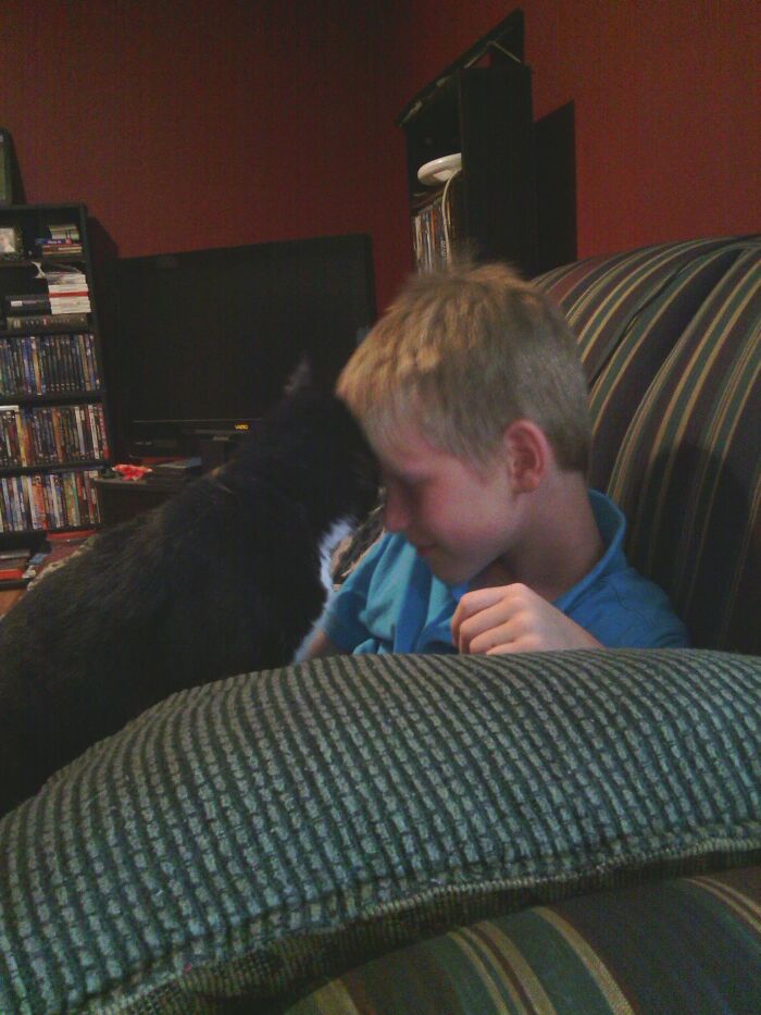 Hey Pandas, To Celebrate Black Cat Appreciation Day, Share Some Photos Of Your Feline Friends (Closed)