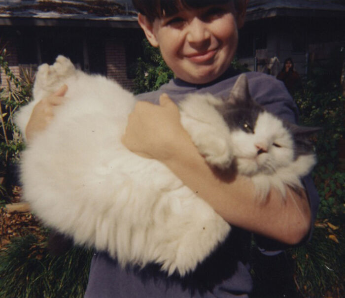 Hey Pandas, To Celebrate Black Cat Appreciation Day, Share Some Photos Of Your Feline Friends (Closed)