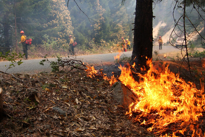 30 Various Hobbies That People Invested Hours And Hours In And Which They Now Regret, As Shared Online 30 Various Hobbies That People Invested Hours And Hours In And Which They Now Regret, As Shared Online