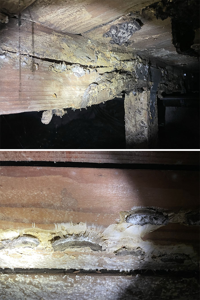 30 Unreal Things Inside People’s Homes These Building Inspectors Found And Shared Online (New Pics) 30 Unreal Things Inside People’s Homes These Building Inspectors Found And Shared Online (New Pics)