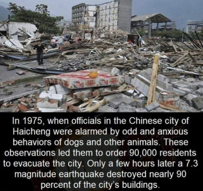 32 Mysterious And Bizarre Posts That Show Just How Weird Our World Really Is 32 Mysterious And Bizarre Posts That Show Just How Weird Our World Really Is