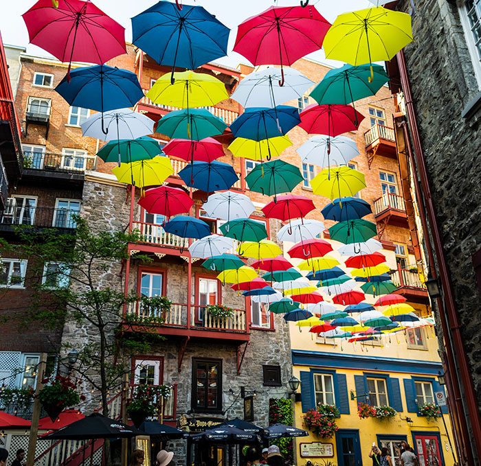 “There Was A Legal Age For Caffeine”: 50 Hilariously Silly Things People Believed To Be True “There Was A Legal Age For Caffeine”: 50 Hilariously Silly Things People Believed To Be True