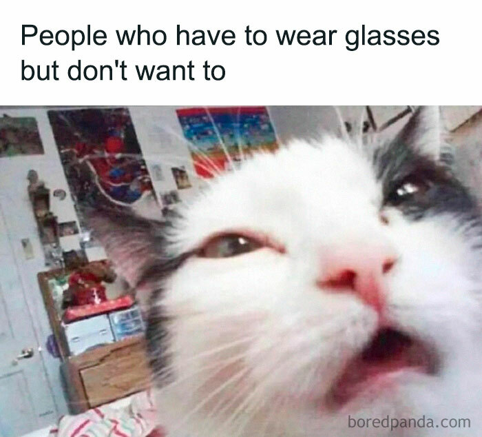50 Hilarious Cat Memes From Happycat318 Instagram Account We’re Obsessed With 50 Hilarious Cat Memes From Happycat318 Instagram Account We’re Obsessed With