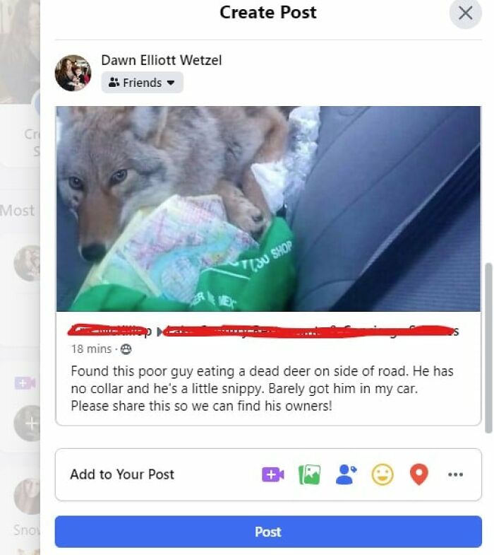 50 Times FB Marketplace Shined With The Most Unhinged Entries That People Just Had To Share (New Pics) 50 Times FB Marketplace Shined With The Most Unhinged Entries That People Just Had To Share (New Pics)
