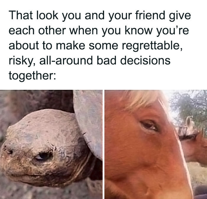 45 Hilariously Relatable Friendship Memes To Share With Your Best Friend 45 Hilariously Relatable Friendship Memes To Share With Your Best Friend
