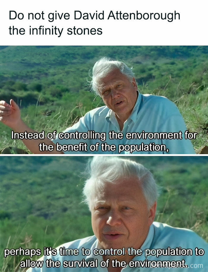 40 Hilarious Memes That Perfectly Sum Up What Being Childfree Is Like 40 Hilarious Memes That Perfectly Sum Up What Being Childfree Is Like