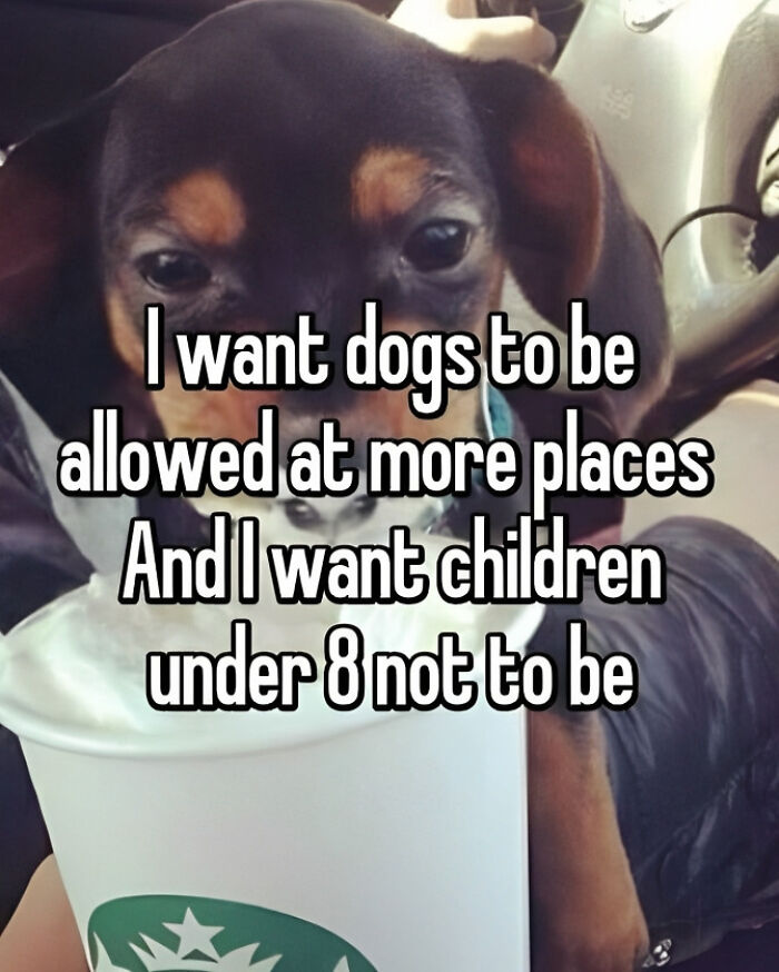 40 Hilarious Memes That Perfectly Sum Up What Being Childfree Is Like 40 Hilarious Memes That Perfectly Sum Up What Being Childfree Is Like