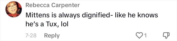 Determined Stray Comes To A Family On A Daily Basis Until They Adopt Him