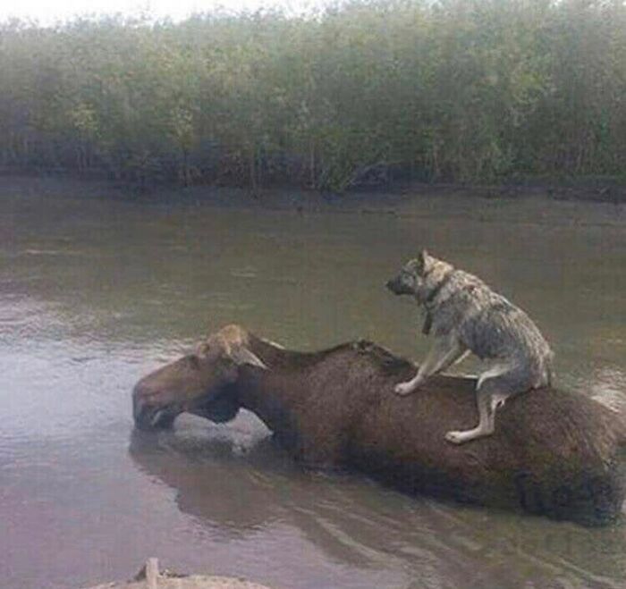 30 “Cursed Images” That Give Off An Uneasy Vibe, As Shared By This Instagram Page 30 “Cursed Images” That Give Off An Uneasy Vibe, As Shared By This Instagram Page