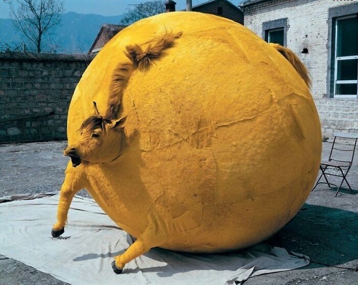 30 “Cursed Images” That Give Off An Uneasy Vibe, As Shared By This Instagram Page 30 “Cursed Images” That Give Off An Uneasy Vibe, As Shared By This Instagram Page