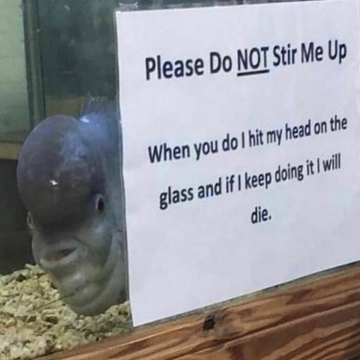 30 “Cursed Images” That Give Off An Uneasy Vibe, As Shared By This Instagram Page 30 “Cursed Images” That Give Off An Uneasy Vibe, As Shared By This Instagram Page