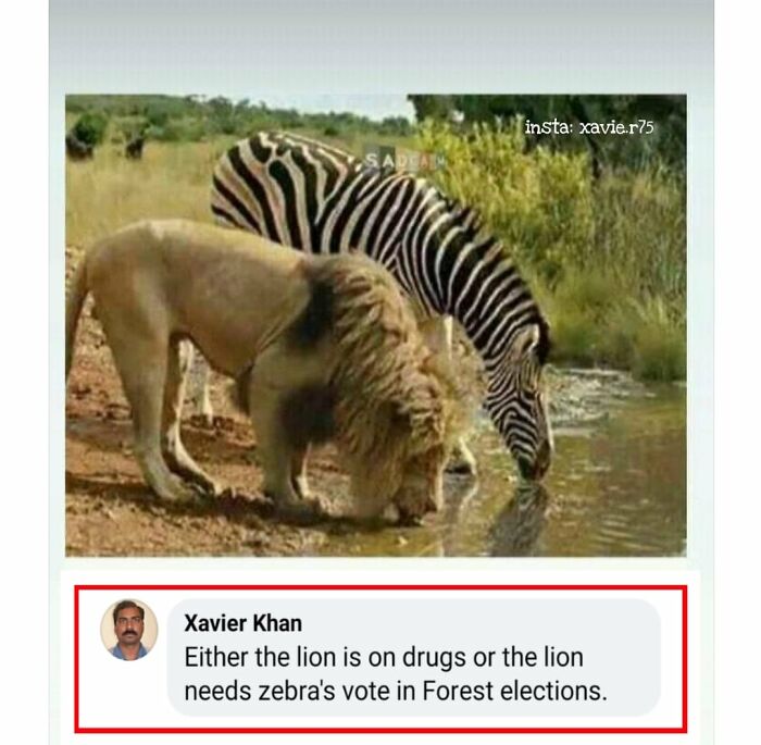 30 Times “Xavier” Shared Hilarious Posts On Social Media (New Pics)