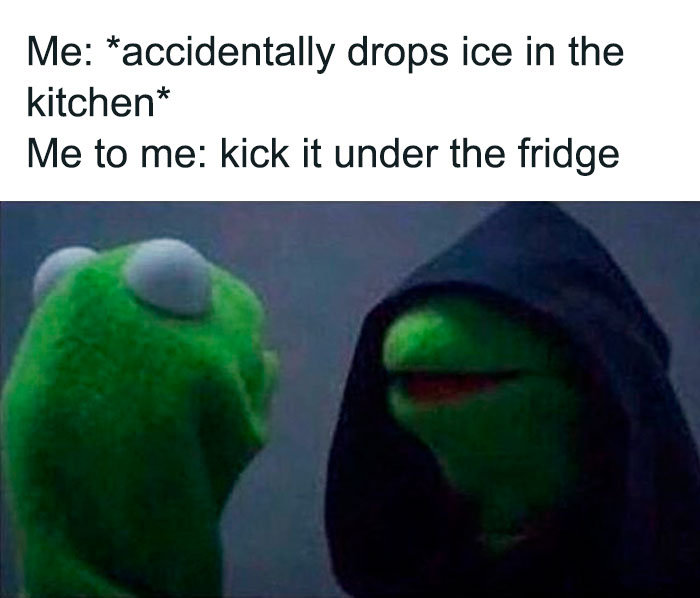 55 Kermit The Frog Memes That Might Make Your Day 55 Kermit The Frog Memes That Might Make Your Day