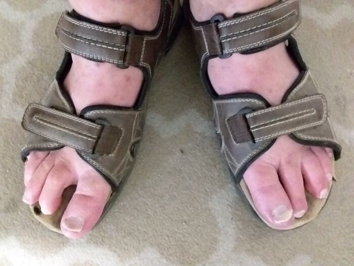 Hey Pandas, What Socks Are You Wearing Today? (Closed)