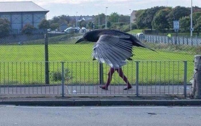 40 Seriously Confusing Pics That Need To Be Looked At Twice To Understand What’s Happening (New Pics) 40 Seriously Confusing Pics That Need To Be Looked At Twice To Understand What’s Happening (New Pics)