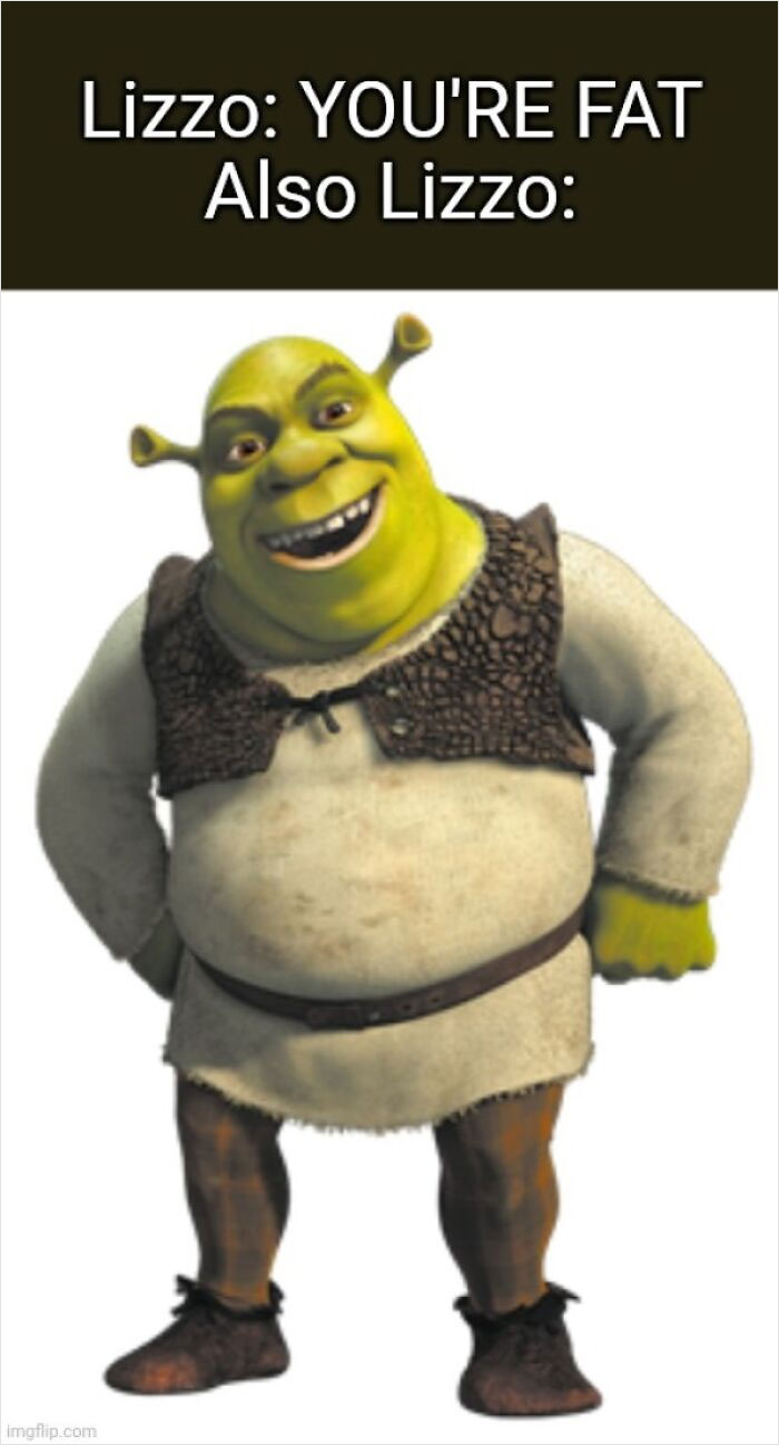 People Are Cracking Up At These 30 Spot-On Shrek Memes That Are Taking The Internet By Storm