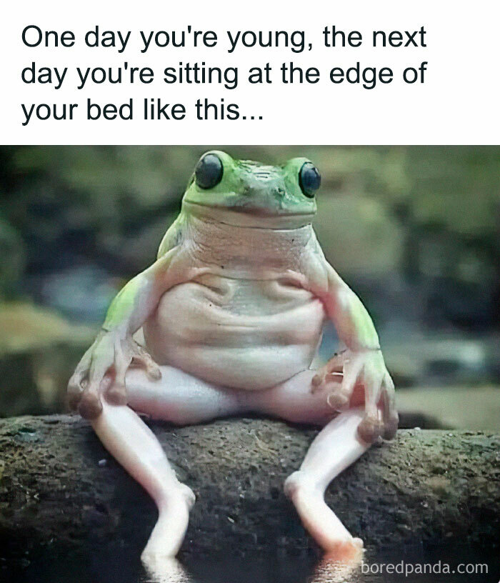 ‘Millennial Misery’: 40 Of The Best Posts To Make Millennials Laugh, Then Cry ‘Millennial Misery’: 40 Of The Best Posts To Make Millennials Laugh, Then Cry