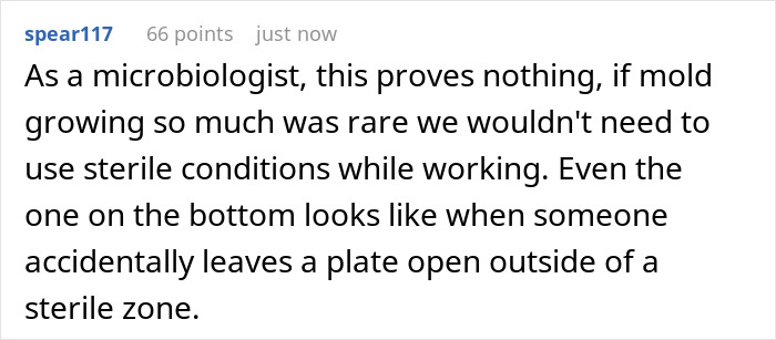 Airbnb Guest Tests Air Quality Due To Mold Smell As The Host Denied The Issue, Gets Alarming Results